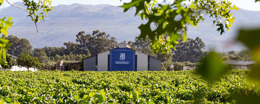 Allee Bleue Weingut Allee Bleue Weingut