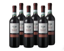 6 Flaschen Rotwein Piemonte Barbera DOC Italien