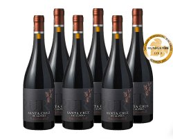 Beliebter Rotwein PURE ROBLE MONASTRELL aus Spanien