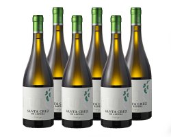 BIO Pure Verdejo Wein von Bodega Santa Cruz